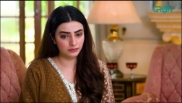 Shehzadi House - Episode 17